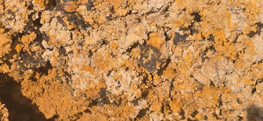 0 Bedroom Property for Sale in Hoopstad Rural Free State